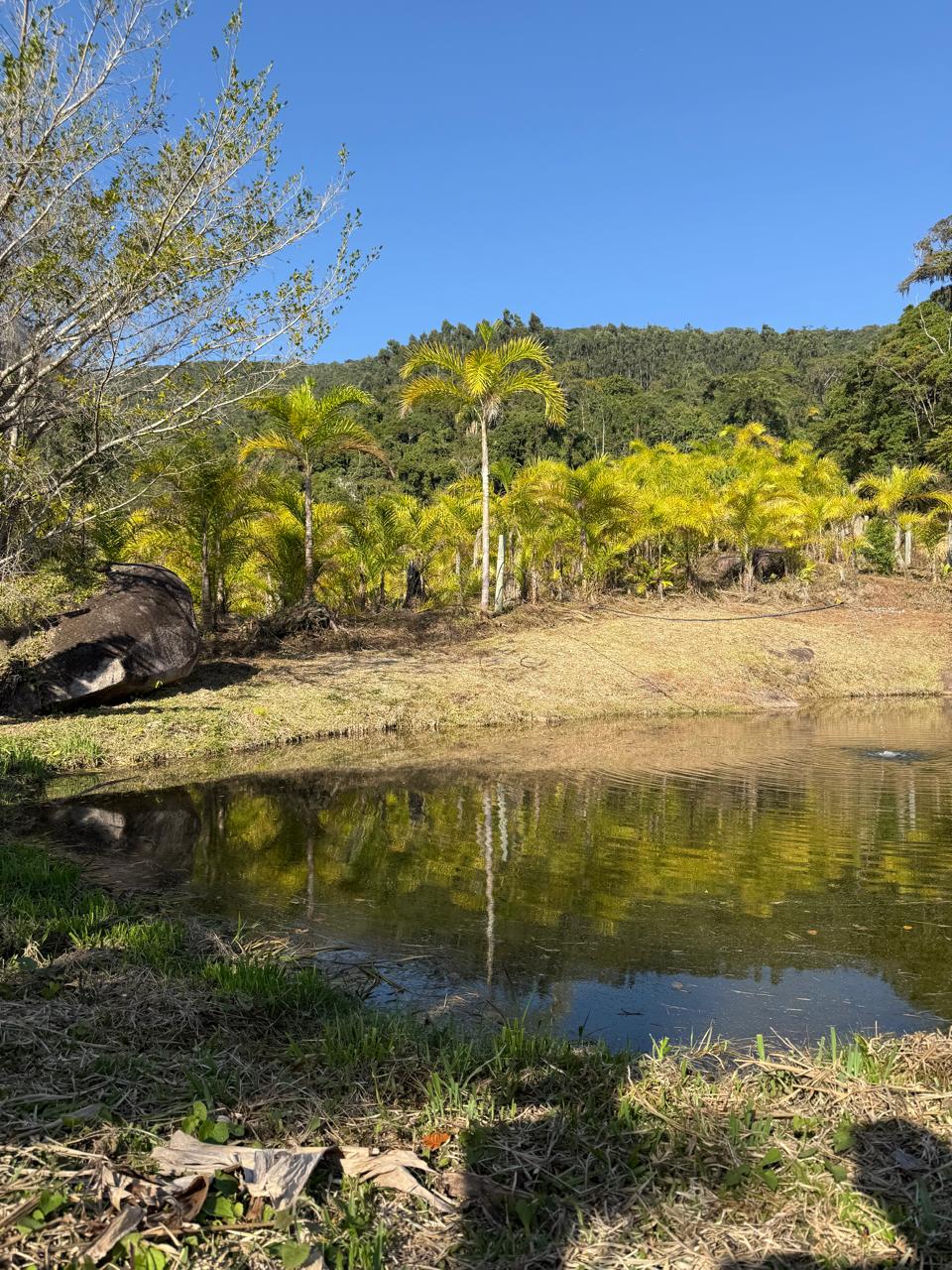 Foto 4 - Terreno na Serra do Guaraú