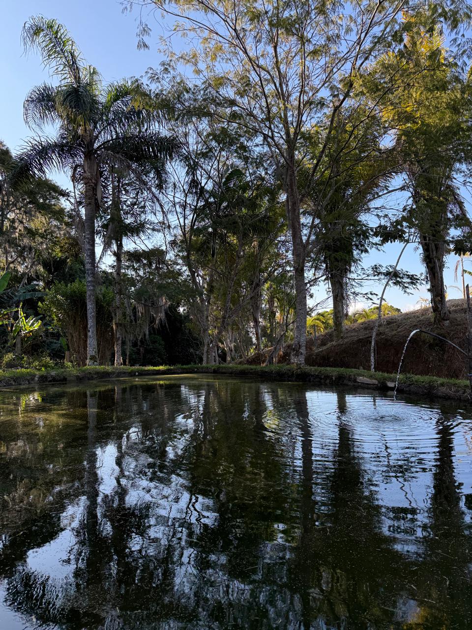 Foto principal - Terreno na Serra do Guaraú